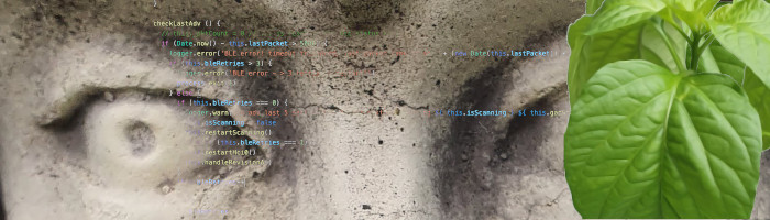 VoXel Development Services